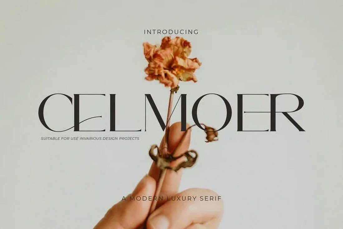 Celmoer