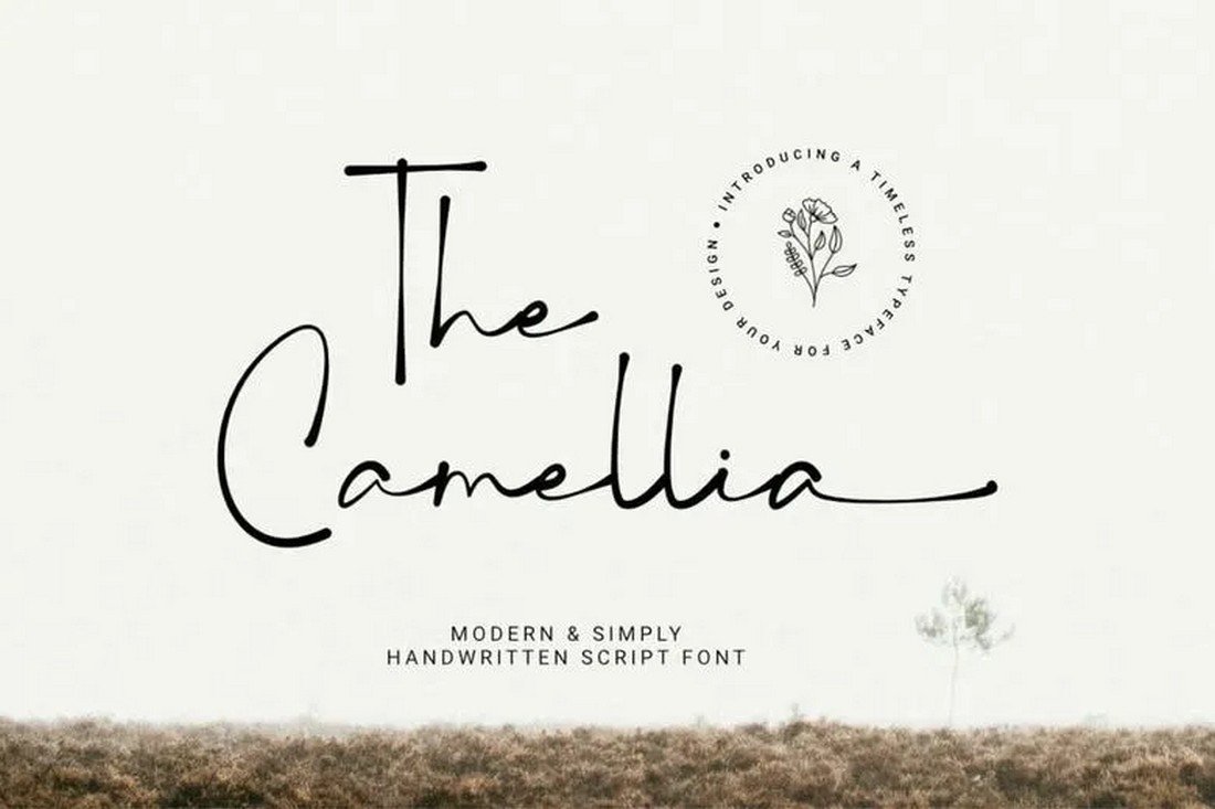 The Camellia